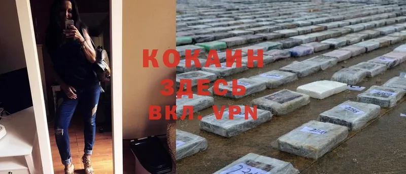 даркнет сайт  Котовск  COCAIN Fish Scale 